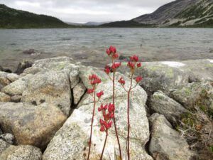 3a nth pass lk and ll sax (Nuk Tessli – North Pass Lake)