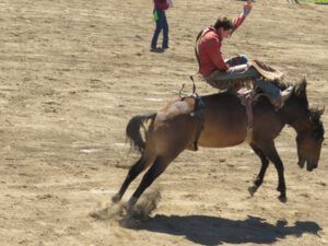 5 saddle bronc 2 (Anahim Lake Stampede 2015)