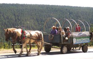 6 waggon ride 1 (My New Deck)