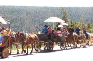 7 waggon ride 2 (My New Deck)