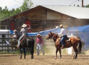 8 ready for roping (Anahim Lake Stampede 2015)