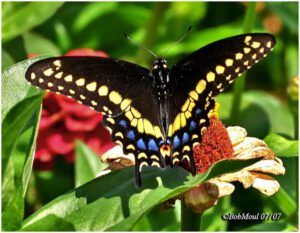 82728027.IKd8mlkm (Heatwave Continues)