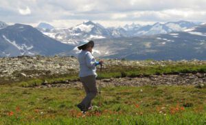 9 1 windy (Nuk Tessli – The North Ridge Meadows)