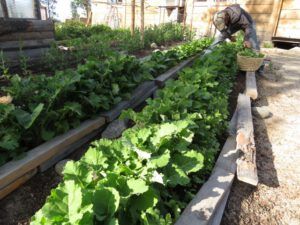 IMG_4537 (Heatwave Continues)