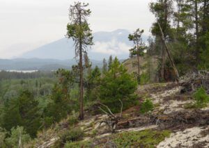 f22 rom dunes (Heatwave Continues)