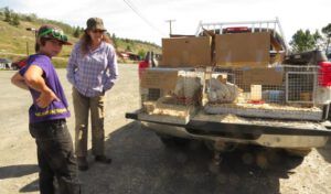 15 heritage chickens (More Bits and Pieces at Ginty Creek.)