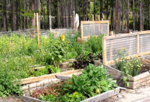 16 garden (More Bits and Pieces at Ginty Creek.)