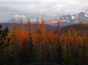 17 sunset (Bits And Pieces at Ginty Creek.)