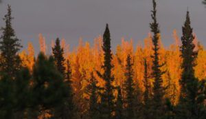 18 sunset 2 (Bits And Pieces at Ginty Creek.)