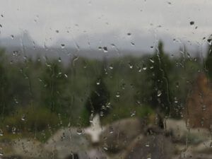 IMG_5564 (Bits And Pieces at Ginty Creek.)