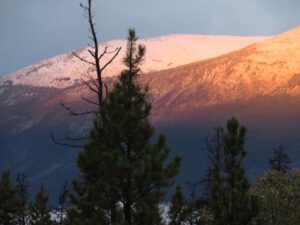 1 new sno 1 (Jimmy’s Last Weeks at Ginty Creek)