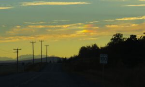 12 town 8 sundog (Suddenly, It’s Fall.)