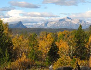 15 fall has come (Suddenly, It’s Fall.)