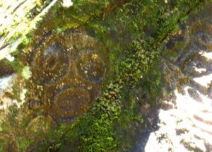 8 faded face (Jimmy’s Last Weeks at Ginty Creek)