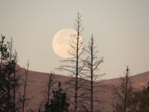 10 moonset (A Last Burst of Fall)