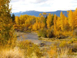 14 river by cabin (A Last Burst of Fall)