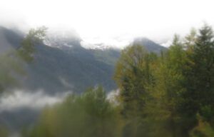 21 river 8 stupendous (Bear Viewing on the Bella Coola River)