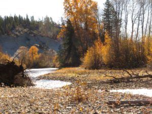24 wind blowing (A Last Burst of Fall)