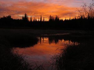 27 colours in sky (A Last Burst of Fall)