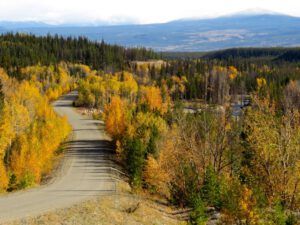 30 nearly home (Bear Viewing on the Bella Coola River)