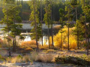 3b pond (A Last Burst of Fall)