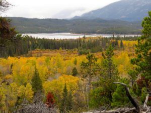 6 clearwater lake (Housewarming Party at Ginty Creek)