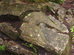 8 petroglyphs 1 (Bear Viewing on the Bella Coola River)