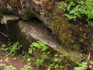 9 petroglyphs 2 (Bear Viewing on the Bella Coola River)