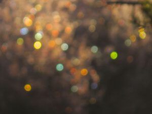 9 xmas kights (A Last Burst of Fall)