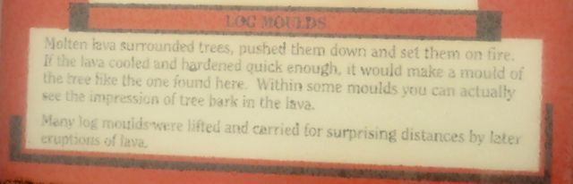 Mold Logging 11 log mold explanation | Wilderness Dweller