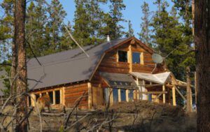 11 penultimate greenhouse roof (Why I Am Too Busy to Post)
