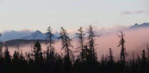 11 pink mist (Winter Comes to Ginty Creek)