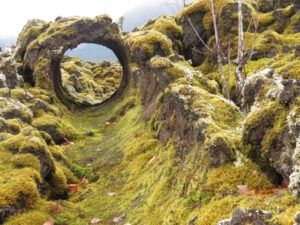 13 tree ring y (Highway 16 Book Tour – Nisga’a Lava beds.)