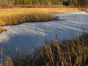 14 frozen pond (Winter Comes to Ginty Creek)