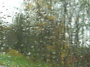 16 rain (Highway 16 Book Tour – Prince Rupert)