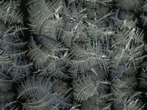 18 frost patterns (Winter Comes to Ginty Creek)