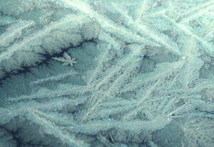 19 pot leaf (Winter Comes to Ginty Creek)