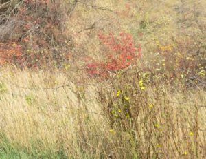 2 going north (Highway 16 Book Tour – Heading North)