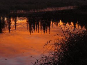 2 sunrise reflections (Winter Comes to Ginty Creek)