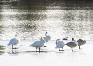 2b (Winter Comes to Ginty Creek)