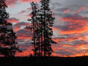 5 bright sunrise east (Winter Comes to Ginty Creek)