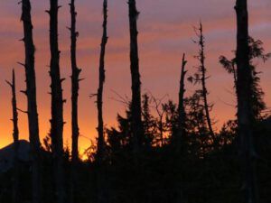 5a surnise (Highway 16 Book Tour – Prince Rupert)