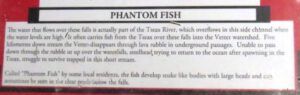 6 phantom fish explanation (Highway 16 Book Tour – Nisga’a Lava beds.)