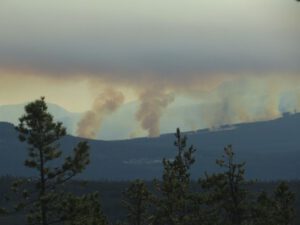 7 slash burning (Winter Comes to Ginty Creek)