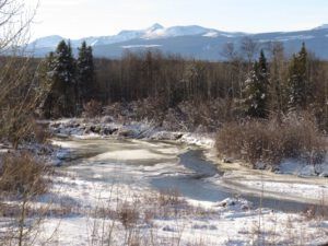 IMG_7533 (Winter Comes to Ginty Creek)