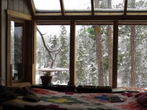 feeder (Early Winter Birds at Ginty Creek)