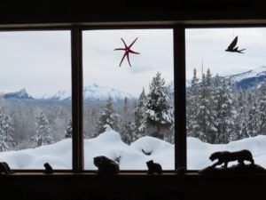 1 gloom (Christmas Day)