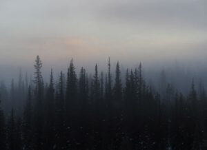 1 vague sunrise (Warm)