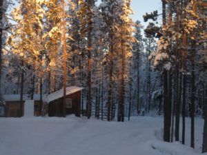 10 back yard (Christmas Day)