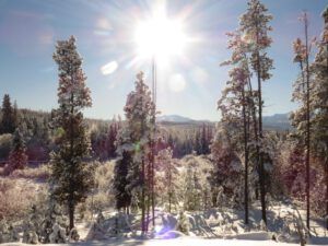 12 noon (Christmas Day)